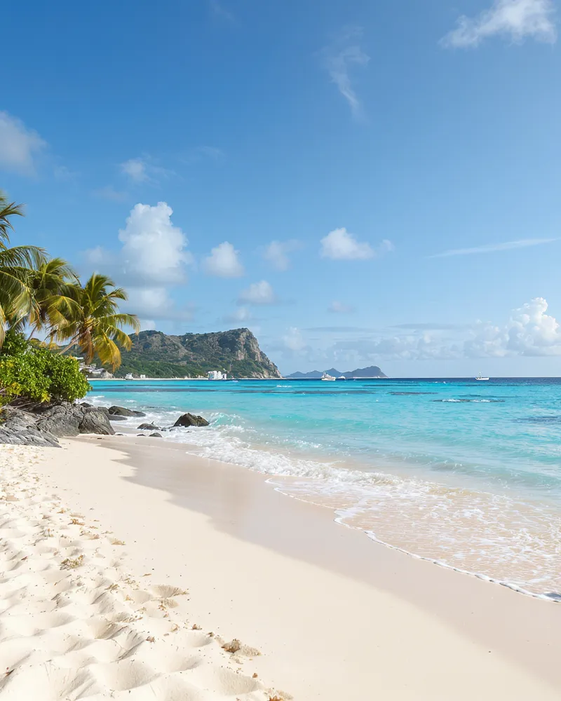 Long Bay Beach à Tortola : un kilomètre de vagues douces et de solitude caribéenne